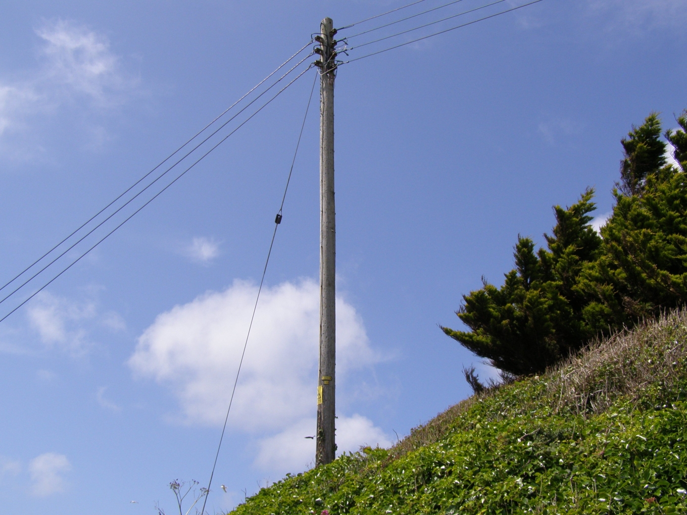 A wooden pole with overhead lines