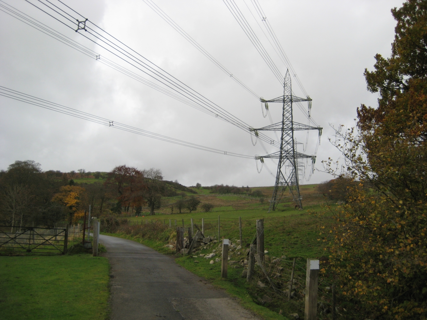 Overhead lines and an electric fence